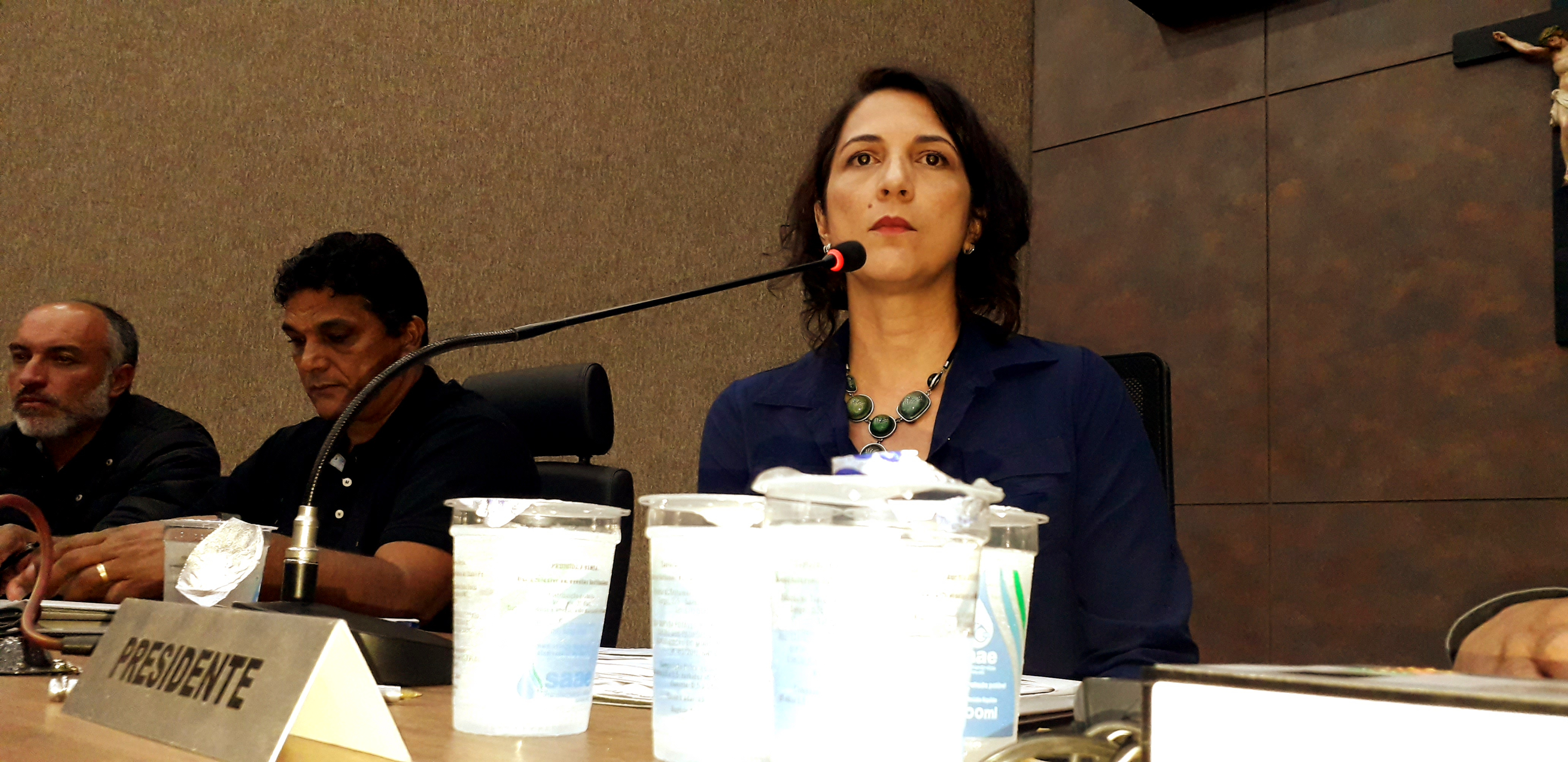 Carnaval no Centro e Julifest 2020: assuntos discutidos entre vereadores e secretária de Itabirito; VEJA VÍDEO