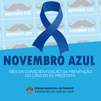 Novembro Azul: Mês da Conscientização da Prevenção do Câncer de Próstata.
