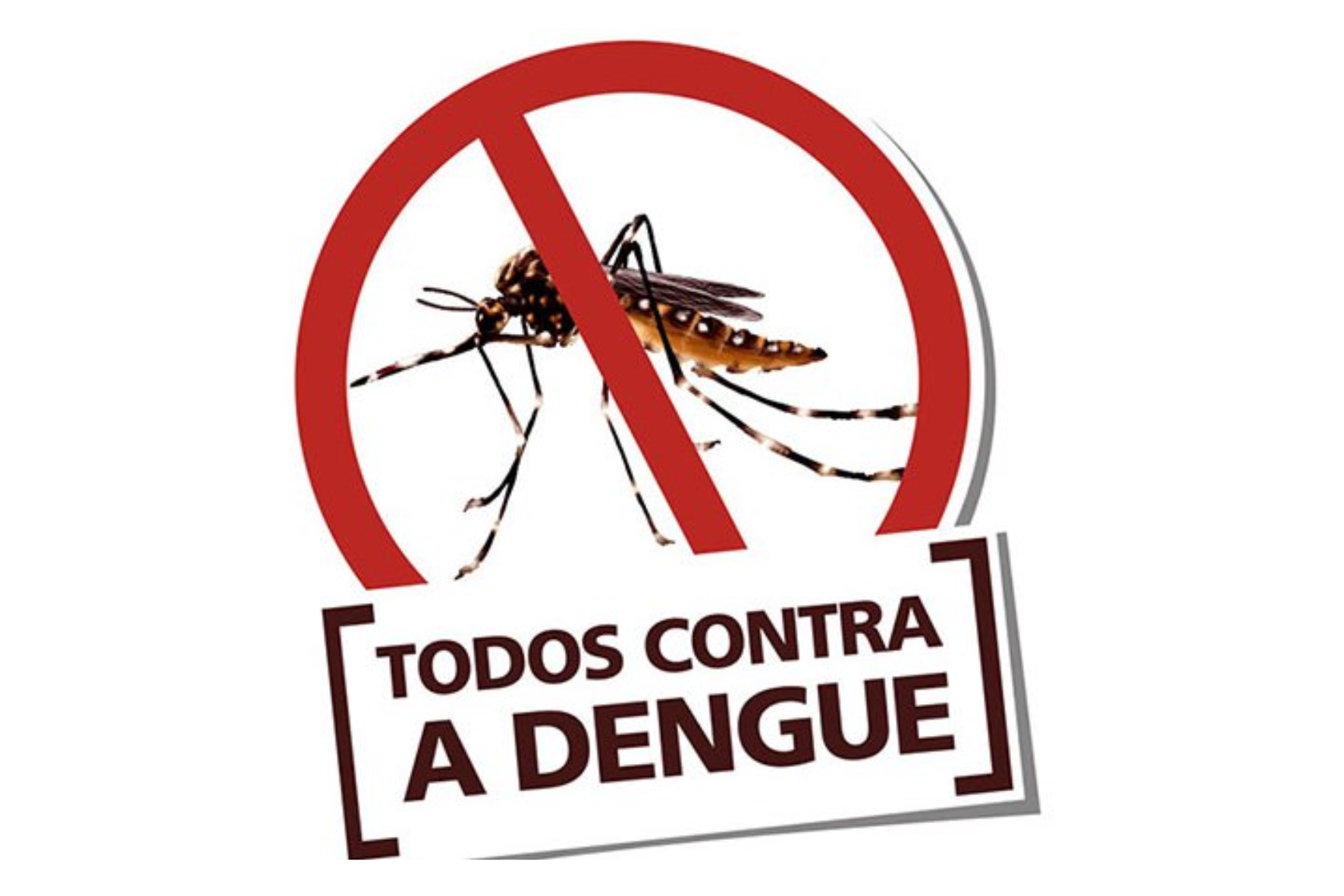 Estudantes vão ajudar a combater a dengue em Itabirito