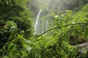 Itabirito cria Semana Municipal da Biodiversidade com foco na preservação ambiental