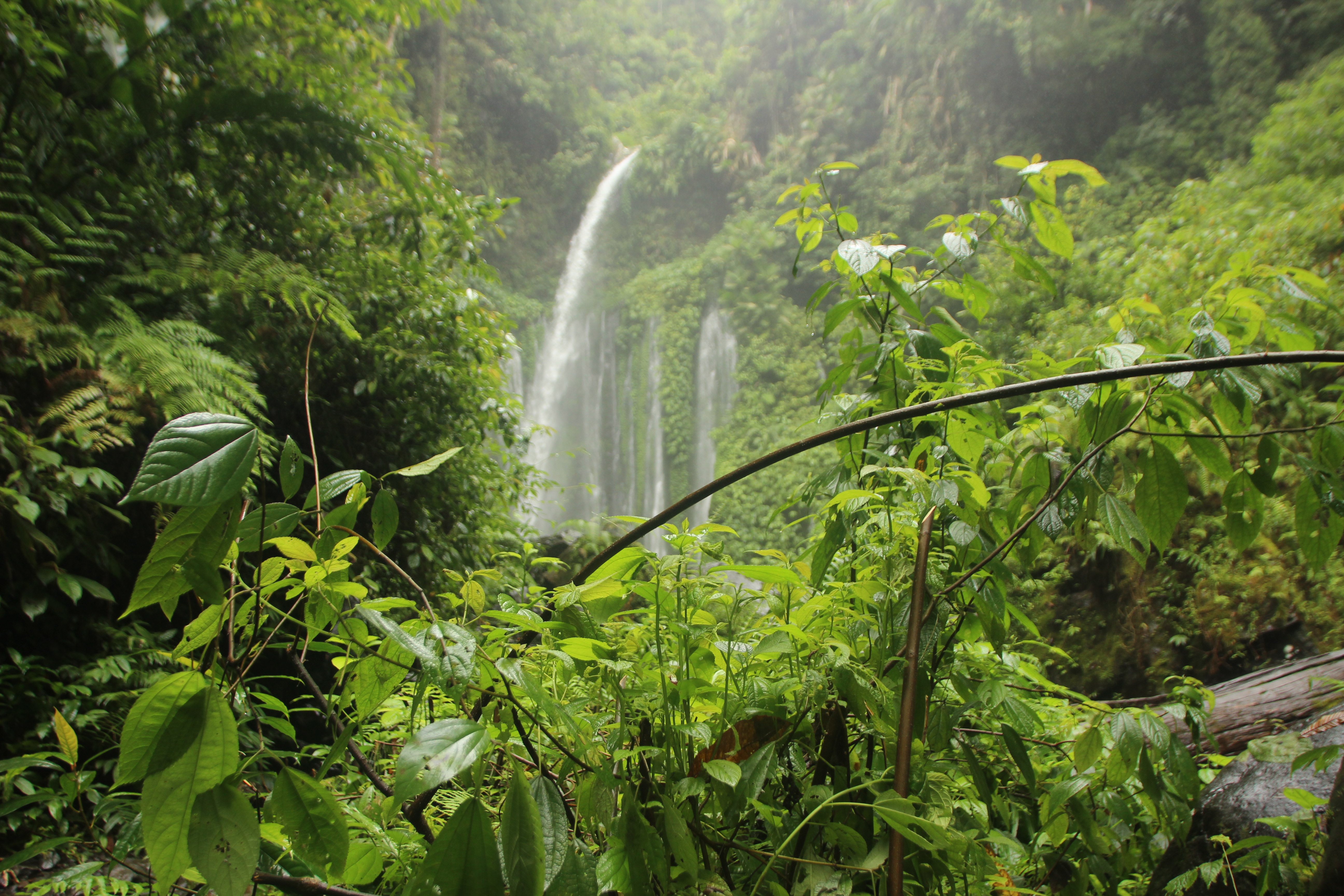Itabirito cria Semana Municipal da Biodiversidade com foco na preservação ambiental