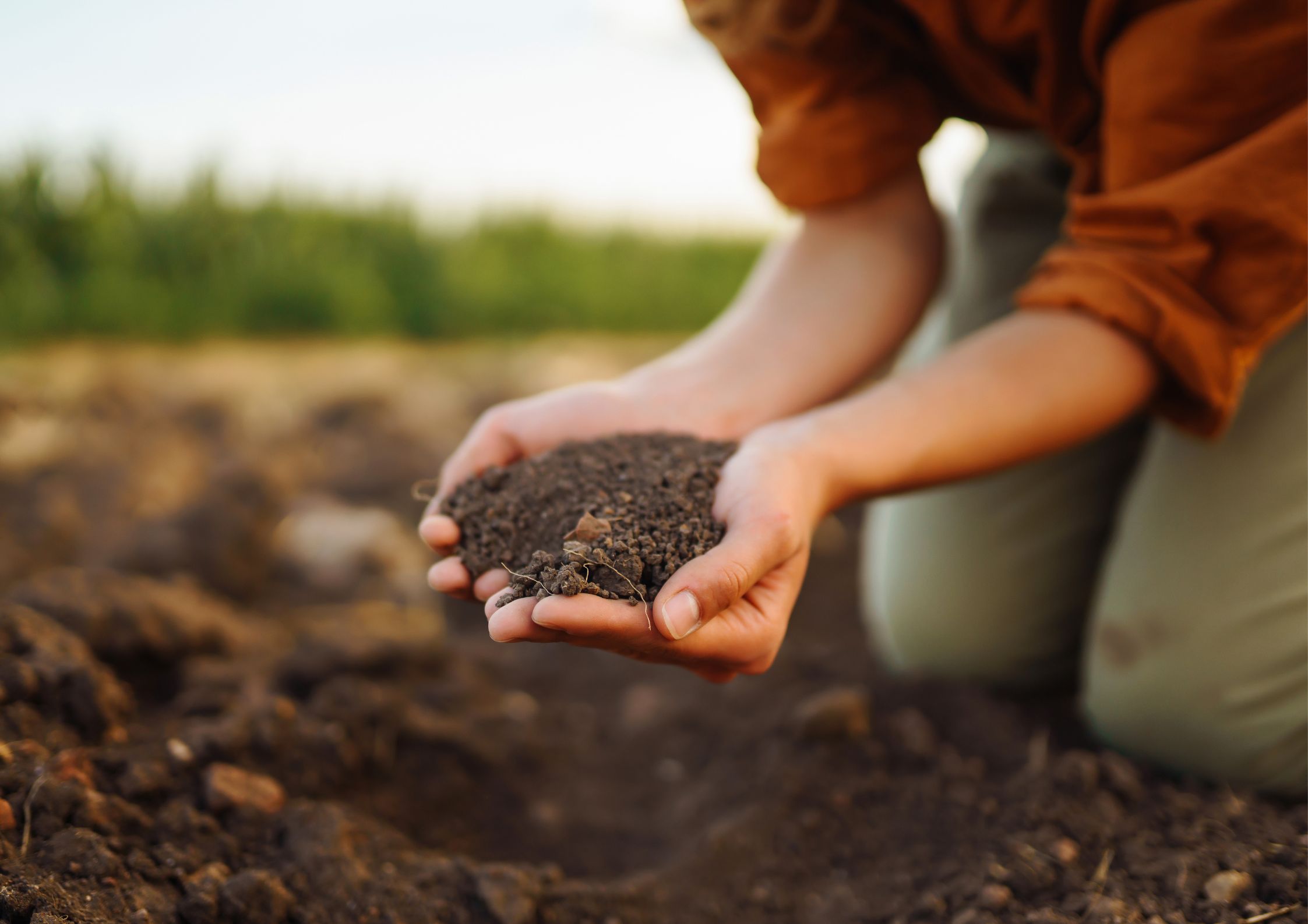 Itabirito institui o Dia Municipal de Conservação do Solo