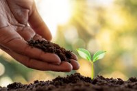 Lei institui o Mês do Reflorestamento no Calendário Oficial de Itabirito